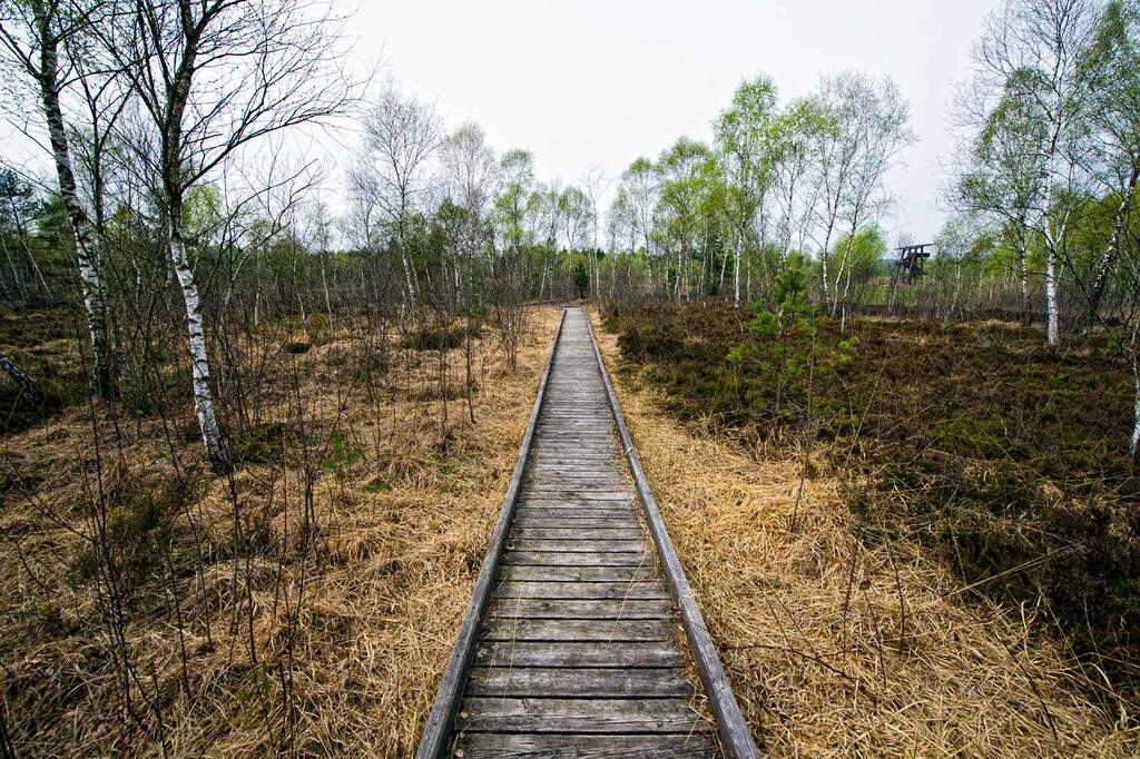 Weg auf einer alten Schienentrasse