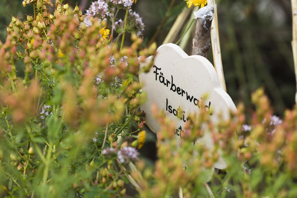 © Uwe Grinzinger Steinzeit-Kräutergarten beim Pfahlbau-Pavillon in Seewalchen am Attersee