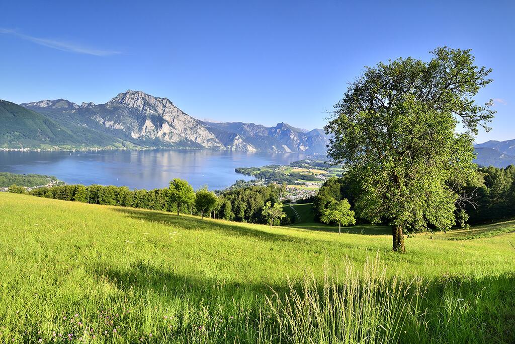 Naturpark Attersee-Traunsee