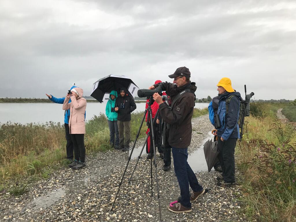 Ausgerüstet mit wasserfestem Spektiv und Ferngläsern kann der Regen der Exkursionsgruppe im Rheindelta nichts anhaben.