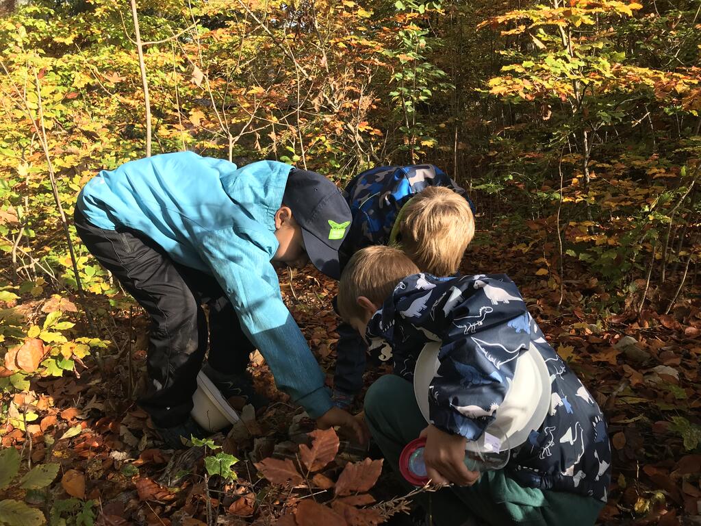 inatura - Natur mach Schule