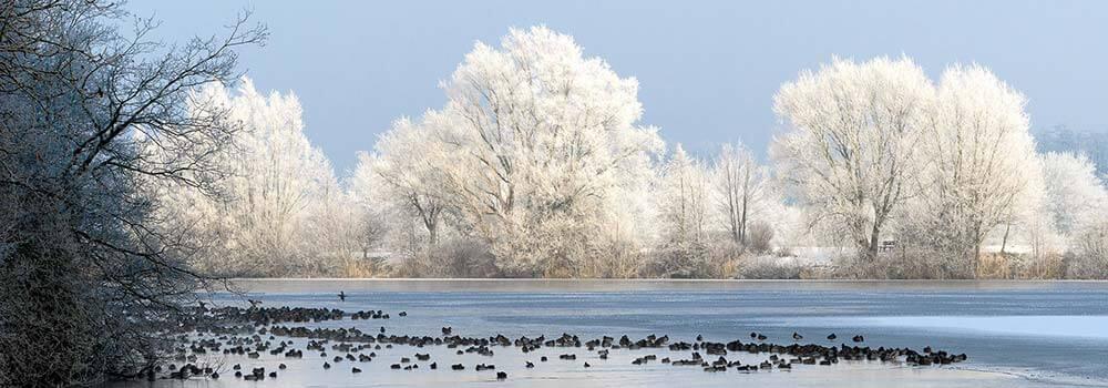 Veranstaltungstipps Winter © pxfuel.com Thiersee