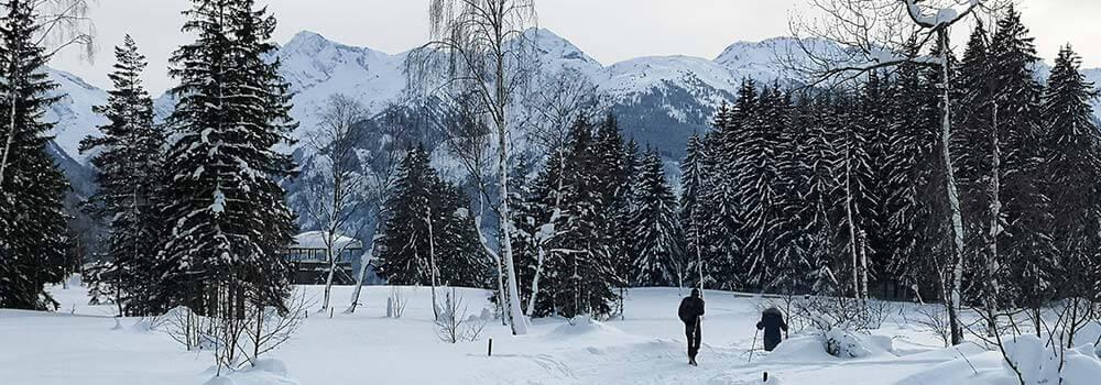 Veranstaltugstipps-winter_wasermoos