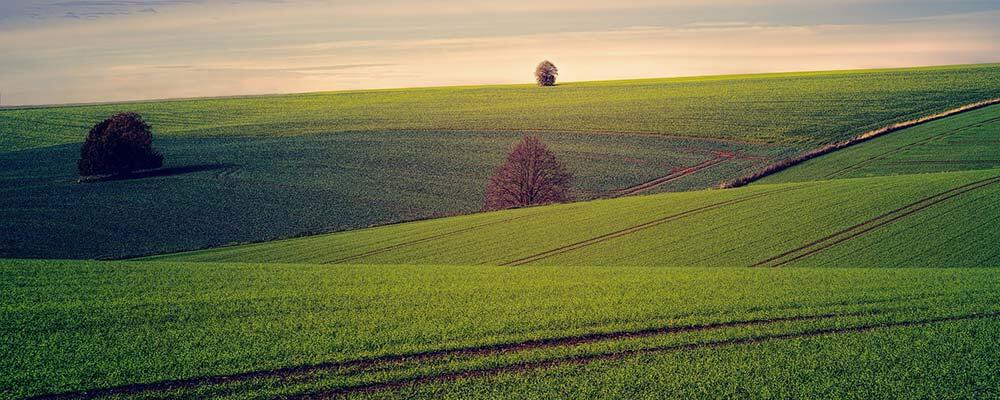 insektensterben_landwirtschaft © pixabay/jplenio insektensterben, Landschaft mit Feldern in der Dämmerung