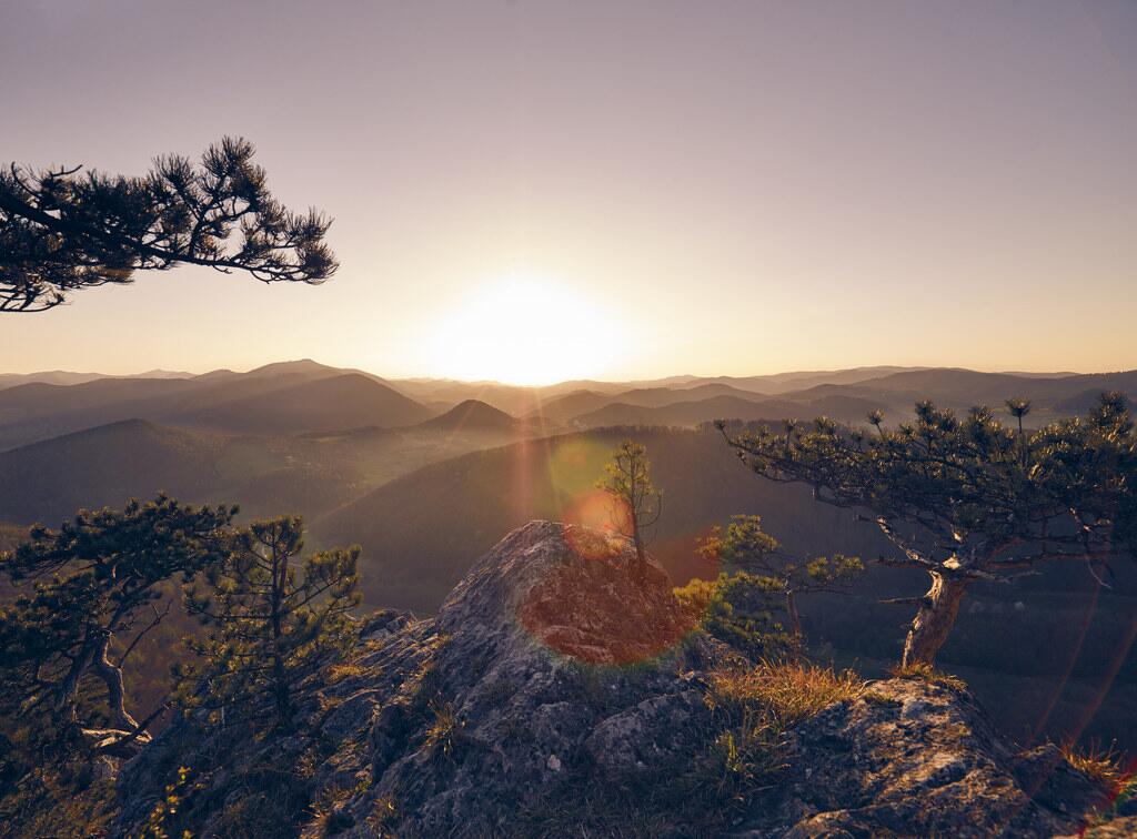 Wienerwald im Frühling