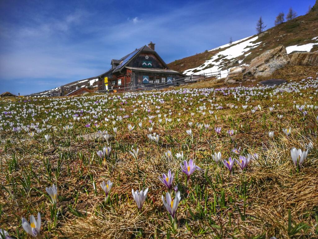 © Matthias Köstenbaumer Millstätter Hütte