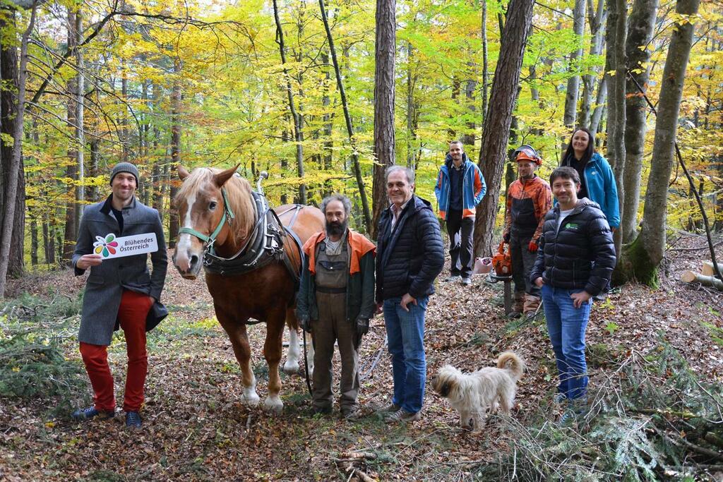 Ronald Würflinger, Hubert Kirchmair, Peter Habeler und das Team des Hochgebirgs-Naturpark Zillertaler Alpen © Florian Warum noreuse Pferderückung