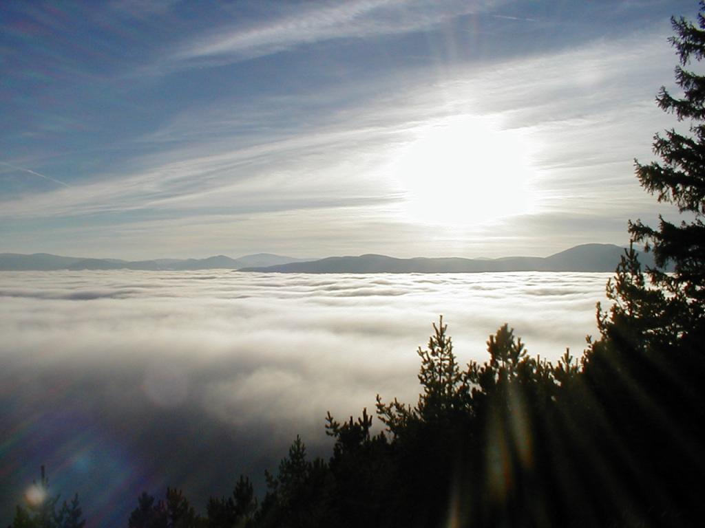 Nebel über dem Tal im Naturpark hohe Wand