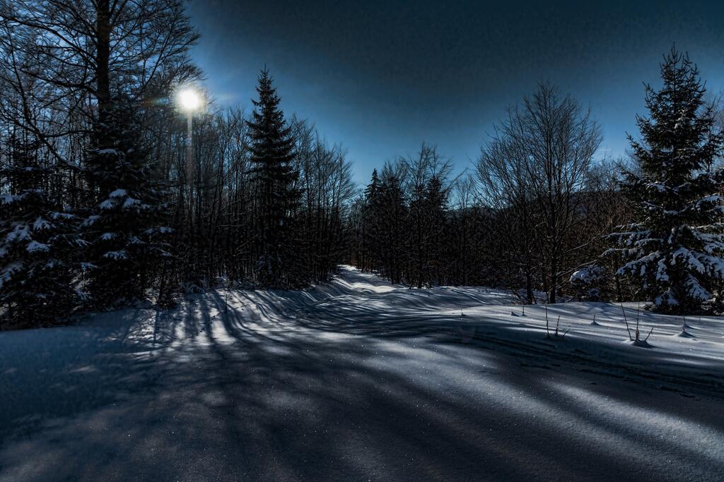 Winterwald © Pixabay Winterwald
