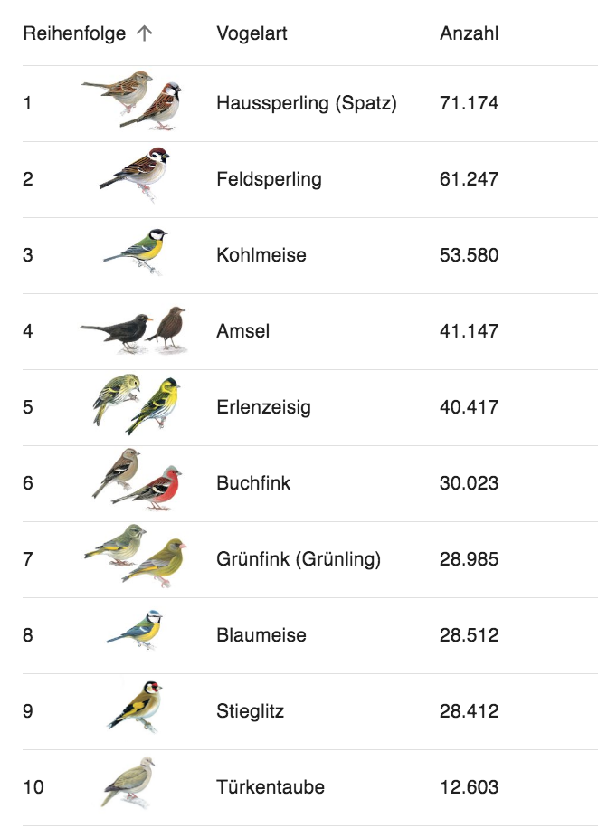 Top 10 Wintervögel 2021