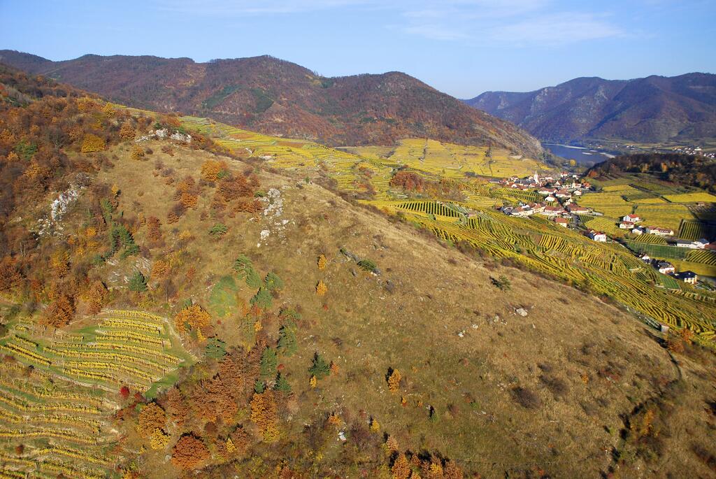 Setzberg, Wachau