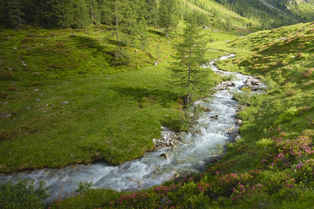 Bodenalm im Zillertal © Paul Wechselberger Bodenalm Zillertal