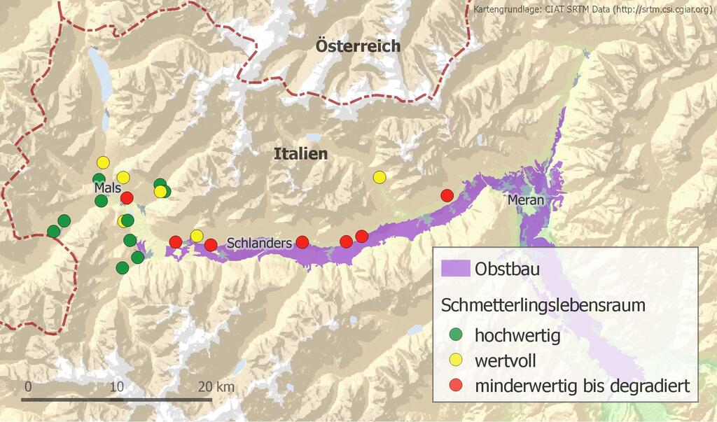 Pestizideinsatz im Obstbau versus Faltervielfalt