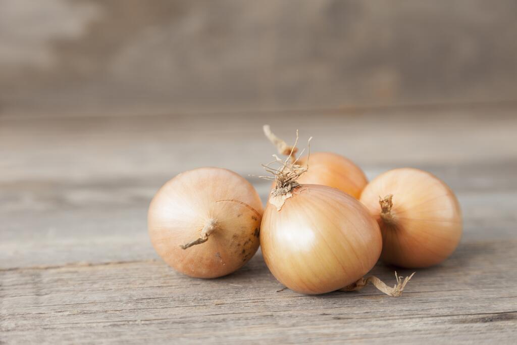 Heimischer Vitaminbooster: Zwiebel © stefanie-grewel/www.gettyimages.com Zwiebel