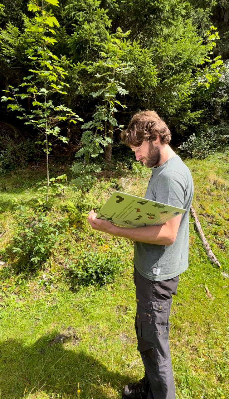 Mit neuem Wissen zum vielfältigen Waldrand © Kathrin Horvath Gregor Rinesch steht am Waldrand