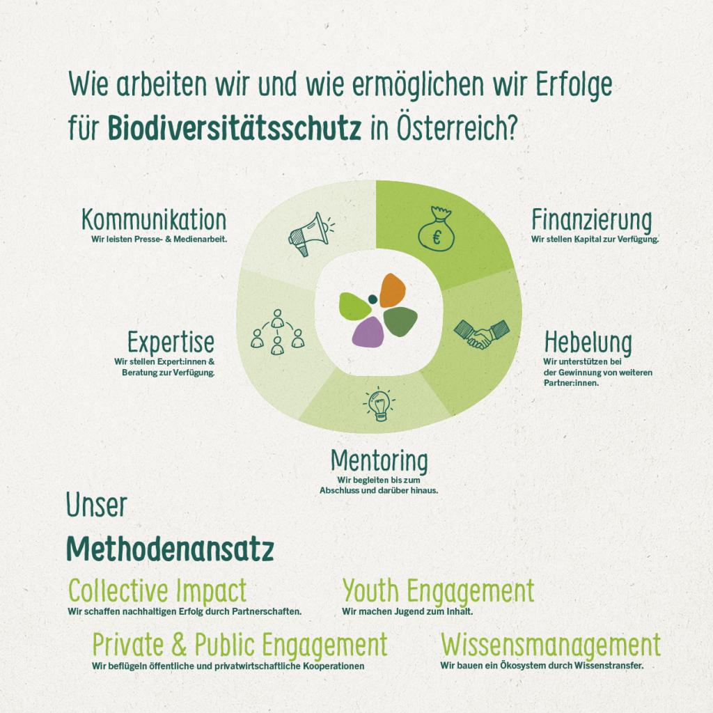 © Marian Inhouse-Agentur der REWE Group Methodenansatz Blühendes Österreich