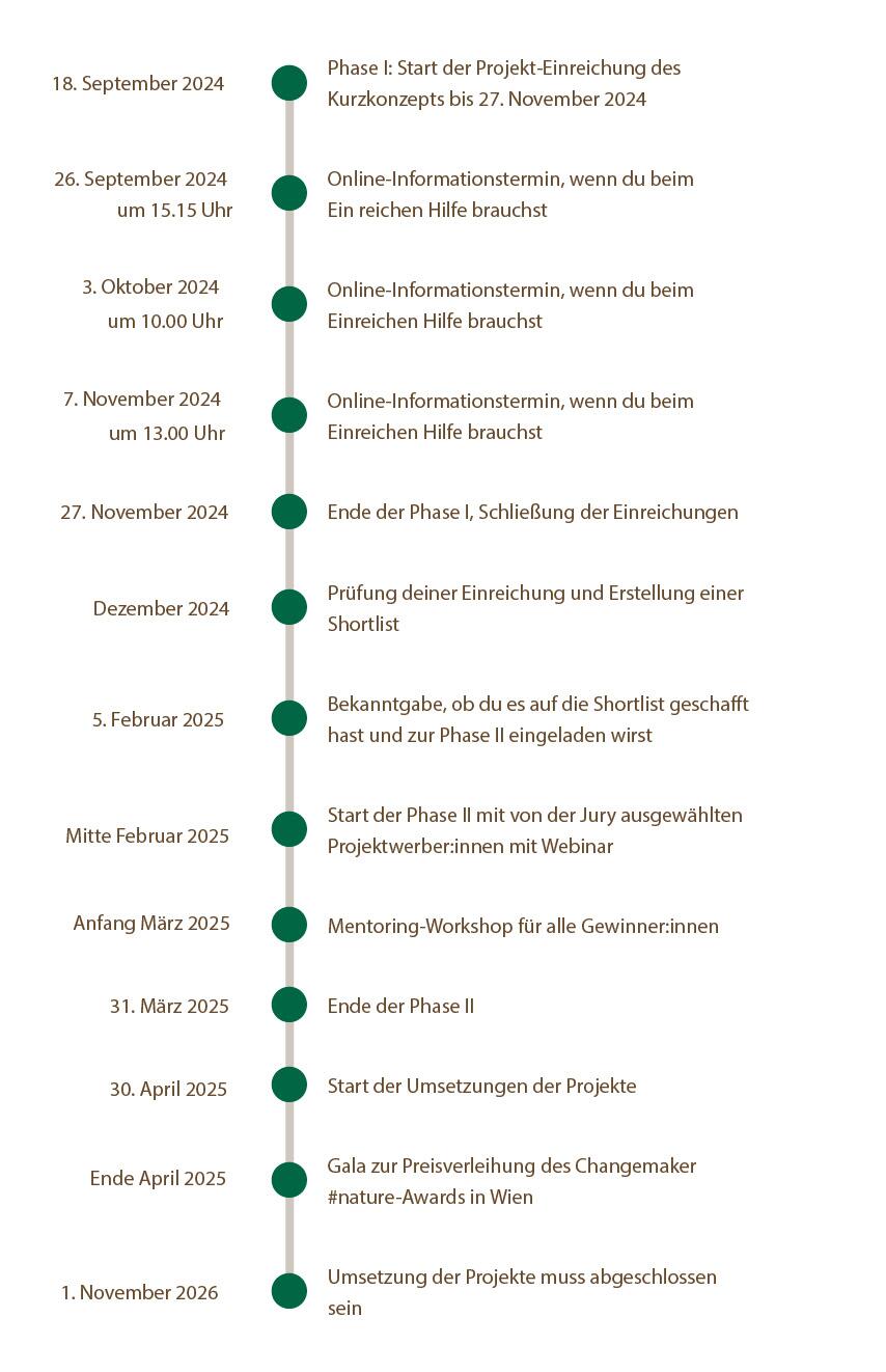 Zeitplan Fördercall Changemaker 2024