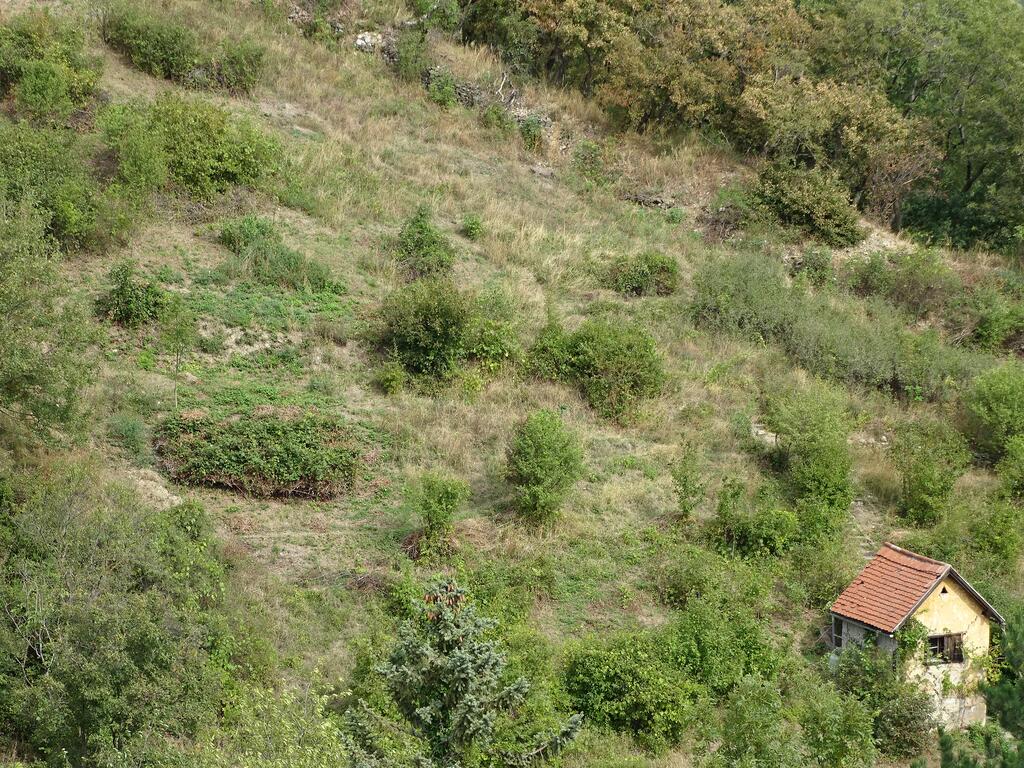 Biodiversitäts-Hotspot in Döbling