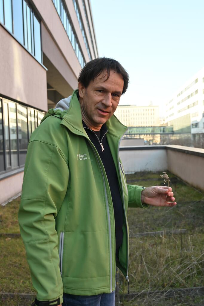 Jürgen Preiss