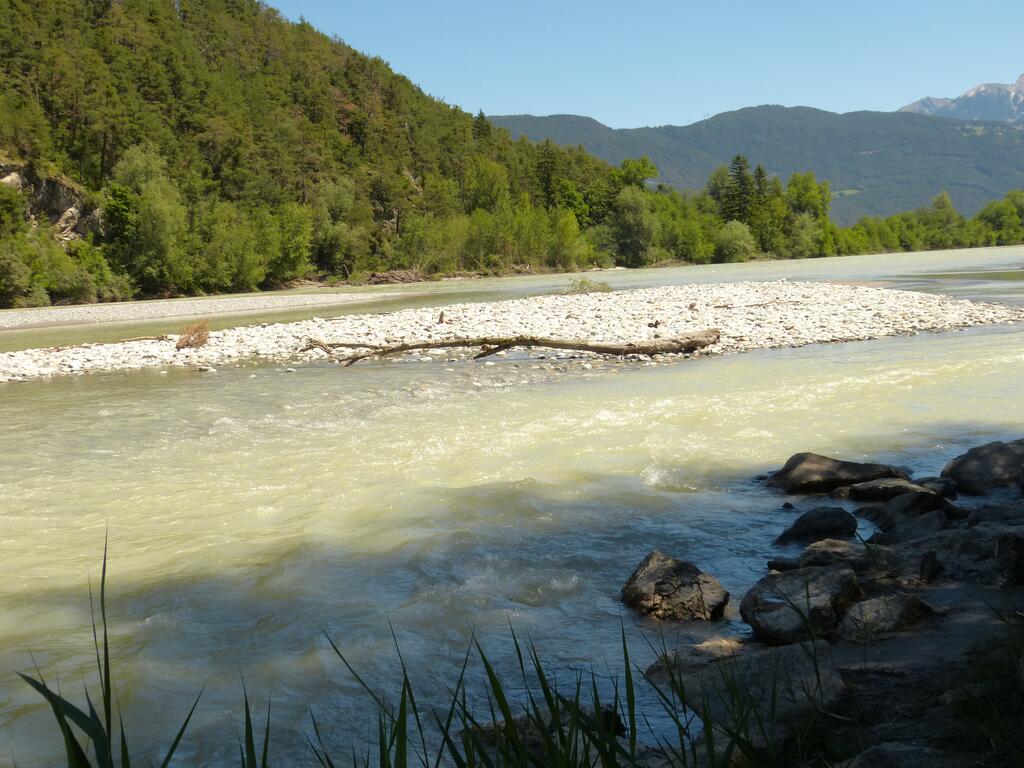 Lebensraum Flussuferläufer