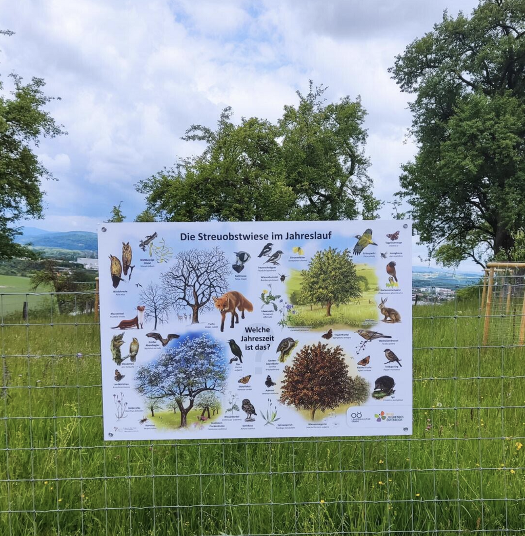Biodiversitätslehrpfad
