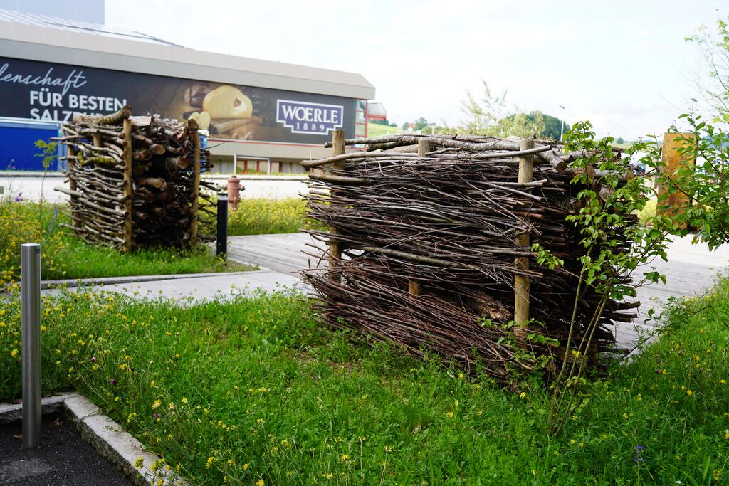 Zwei Benjeshecken auf einer Wiese dahinter ein Gewerbegebäude