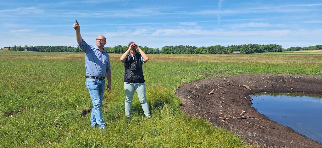 Zwei Menschen stehen mit Fernglas in einem sumpfigen Gebiet