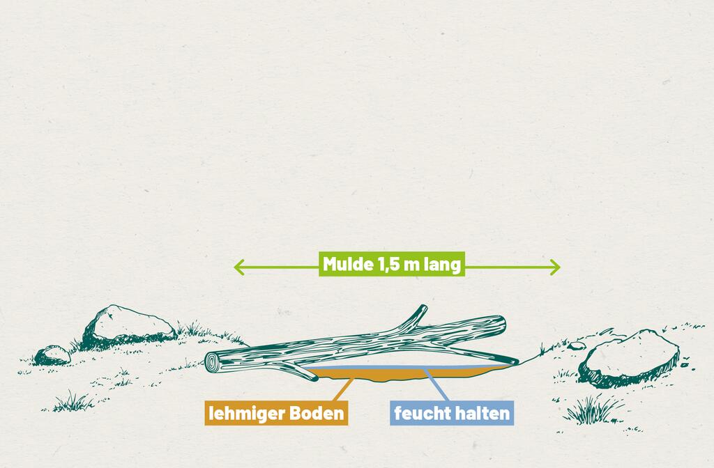 Eine Skizze wie man eine Schwalbenlacke baut