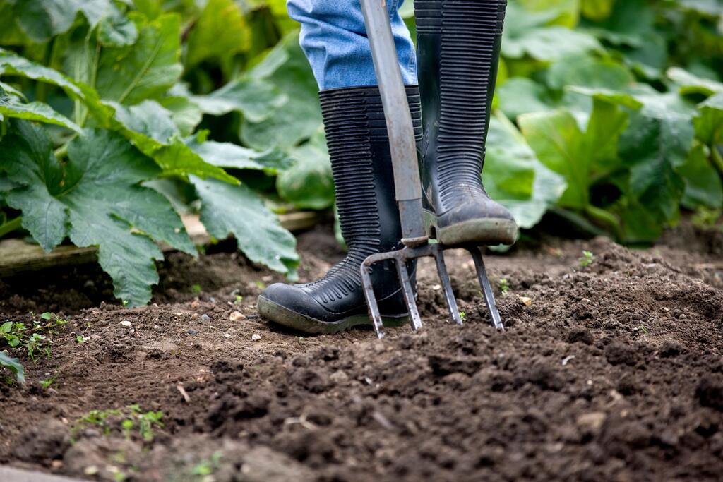 Mistgabel, gartenarbeit