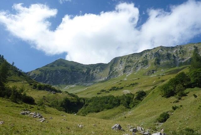 Nature Watch Moosenalm