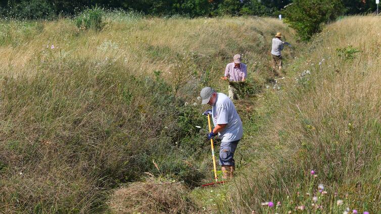 Der Hohlweg am Johannesberg in Wien gehört zu den TOP-Biodiversitätsflächen in Wien und Umgebung. © Landschaftspflegeverein Thermenlinie-Wienerwald-Wiener Becken Der Hohlweg am Johannesberg in Wien.