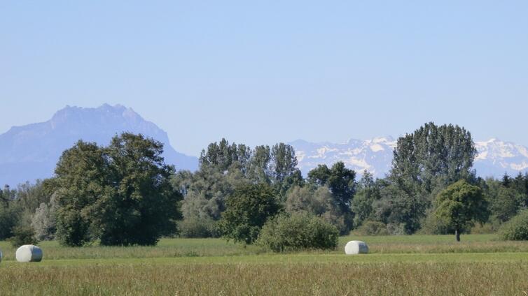 Vielfältige Landwirtschaftsflächen © Klaus König Landwirtschaftsfläche, Streuewiese, Siloballen im Hintergrund Gehölze und Berge