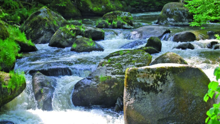 Vom Lebensquell ins Naarntal, Foto Barbara Derntl © Barbara Derntl Vom Lebensquell ins Naarntal, Naturpark Mühlviertel