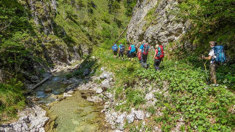 Nationalpark Durchquerung © NATURSCHAUSPIEL, Nationalpark Kalkalpen - S. Kraushofer Eine Gruppe von Wanderern durchquert die Schlucht am Großen Bach im Hintergebirge.