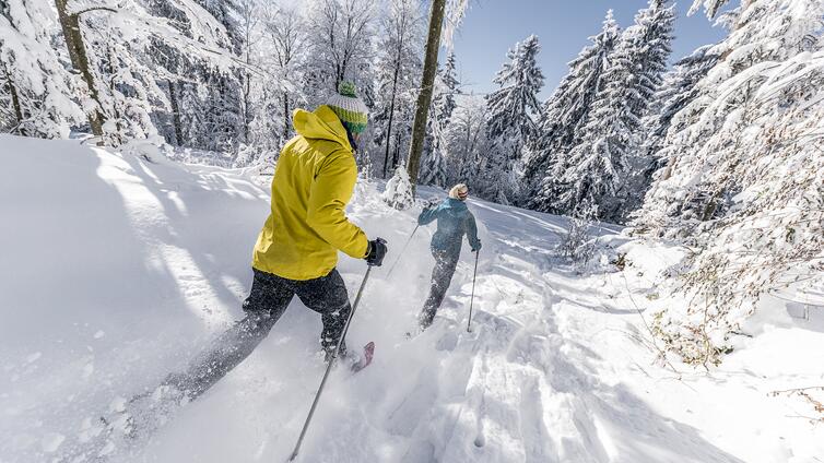 no reuse 20 mit der pechfackel durch den boehmerwald