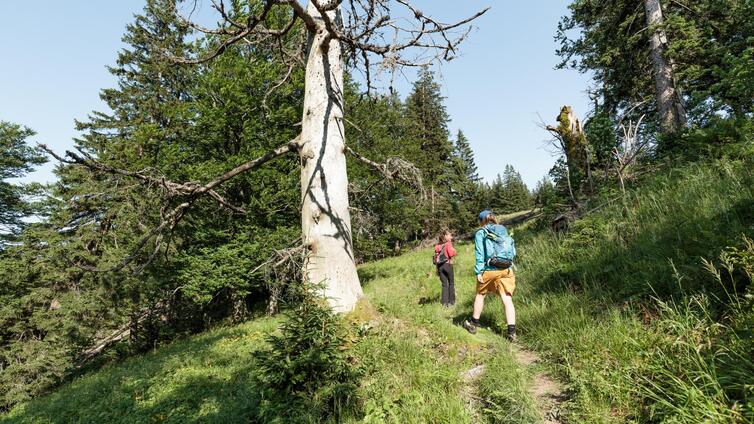 Wildniswandern für Frauen (2 Tage)