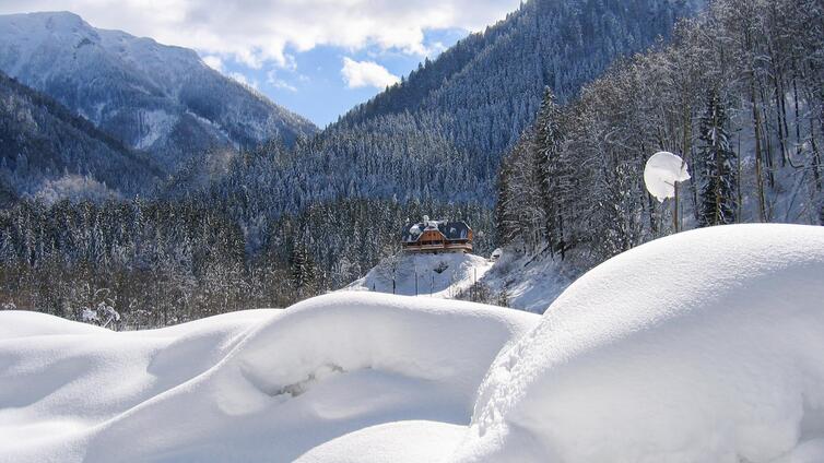 Fürsten in der Wildnis (im Winter)