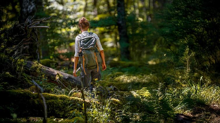 Frauen in der Wildnis (3 Tage)