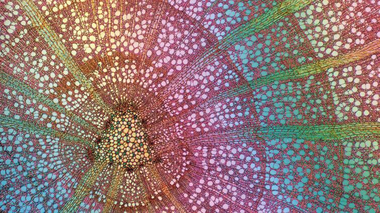 Vernissage: Kreative Naturfotografie – sechs Perspektiven