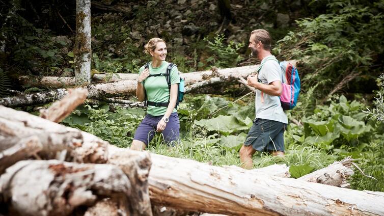 Wildnis, Wald & Du! (3 Tage)
