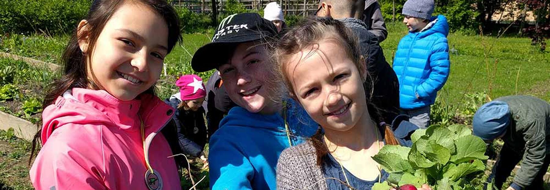 Cityfarm Wien