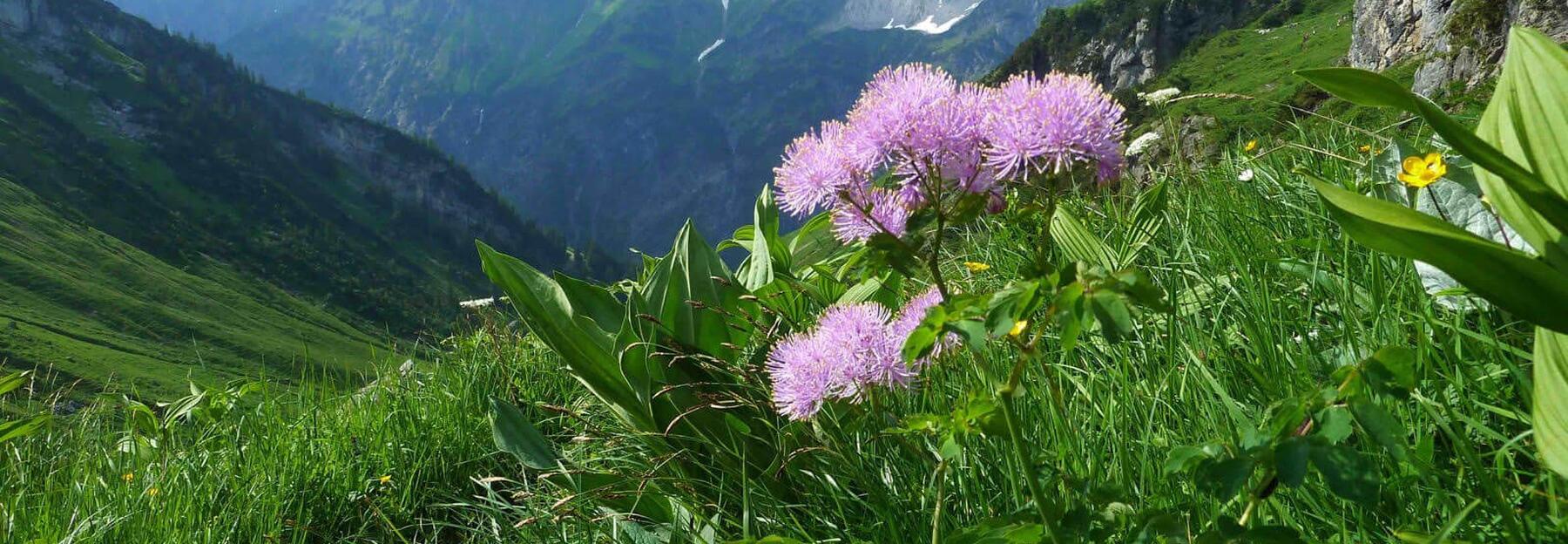 Walsertal