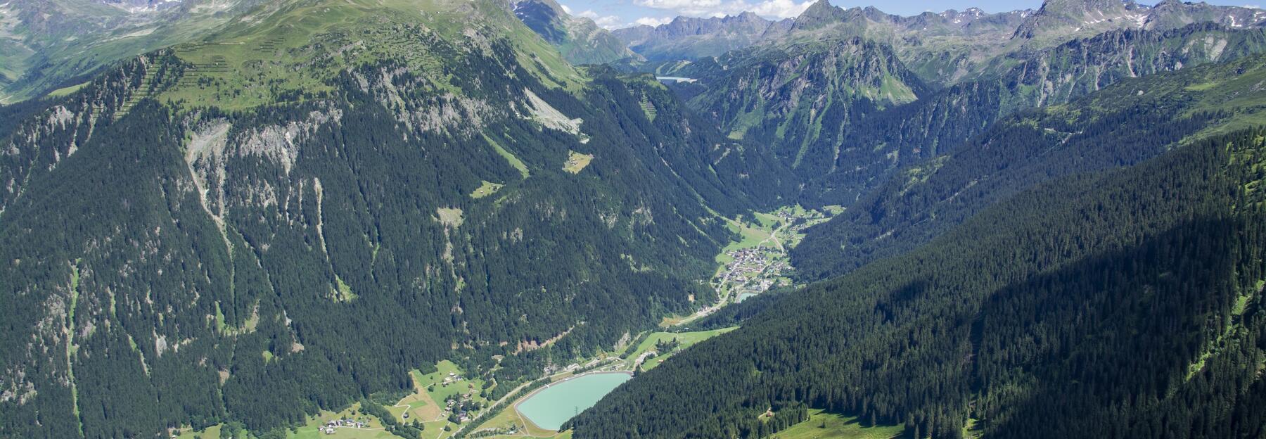 Schutzwald in Vorarlberg