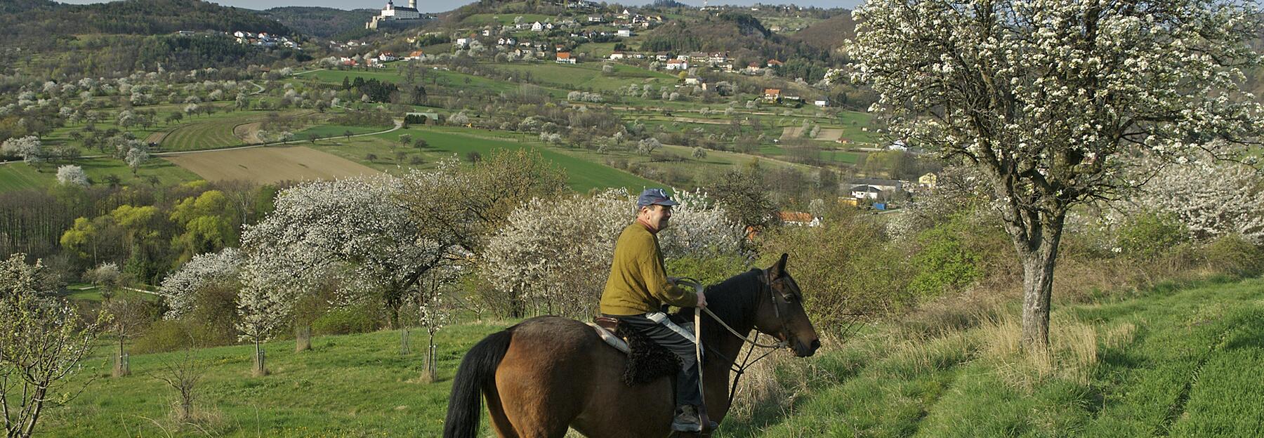 Naturpark Rosalia - Kogelberg