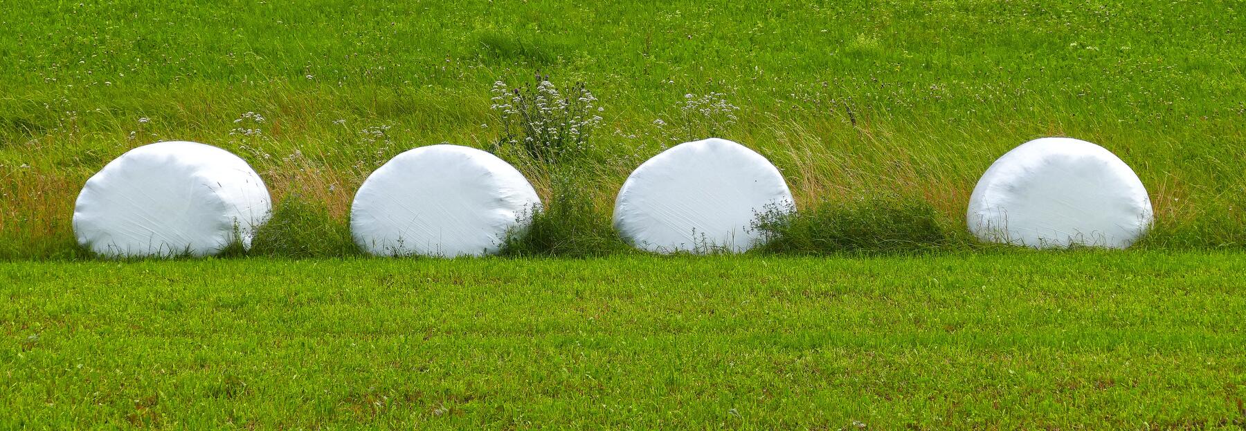 Stretchfolien aus Kunststoff umhüllen die Silage, meist in der Farbe weiß, hellgrün oder türkis