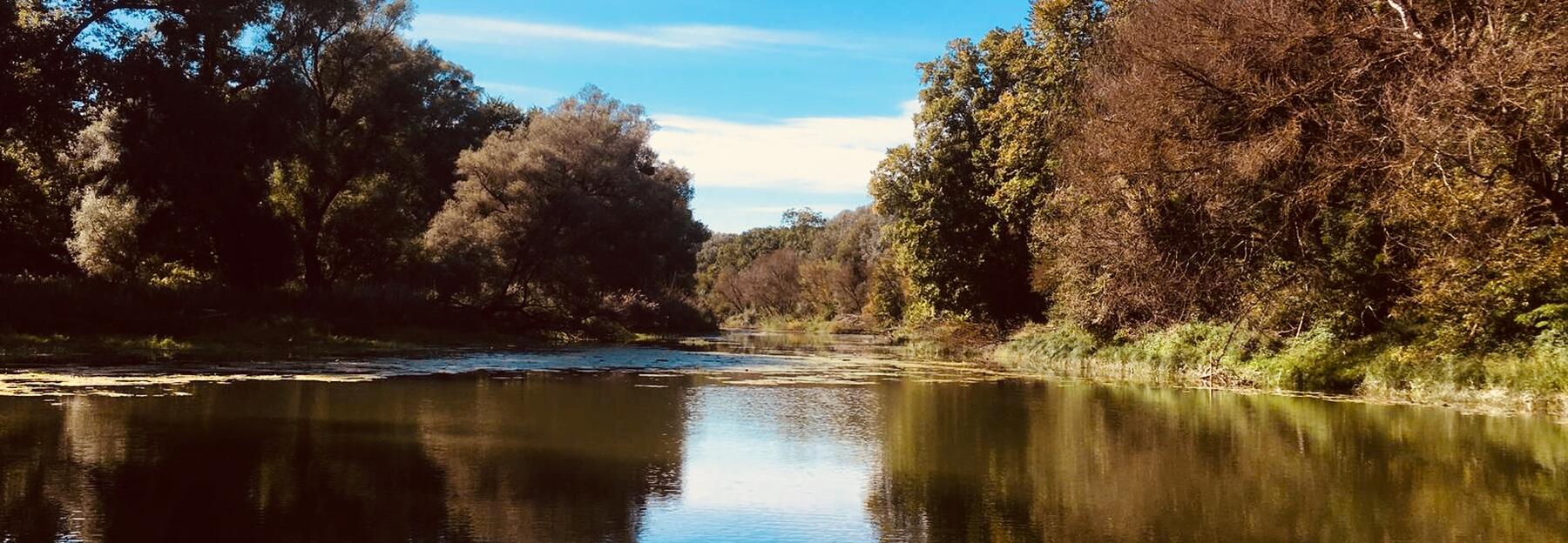 Donau Auen