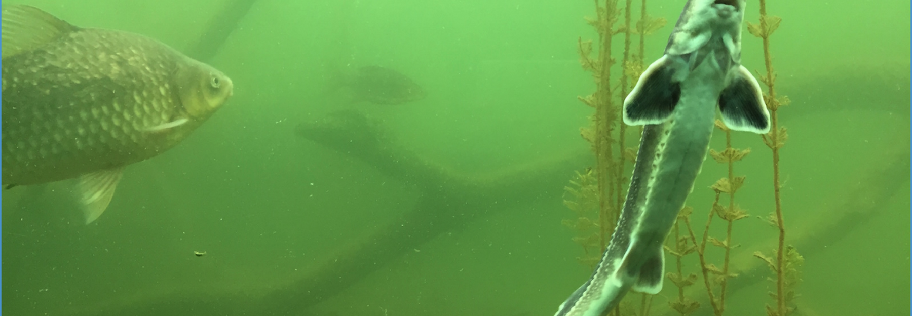 Nationalpark Donau Auen