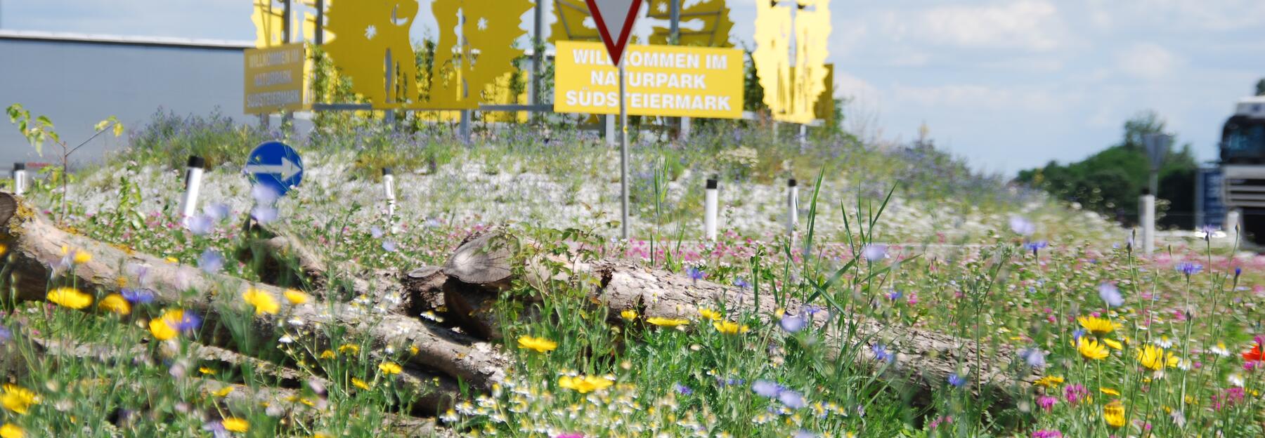 Ein erster Eindruck über die bunte Vielfalt nach nur 3 Monaten (A9 Autobahnabfahrt Vogau-Straß)