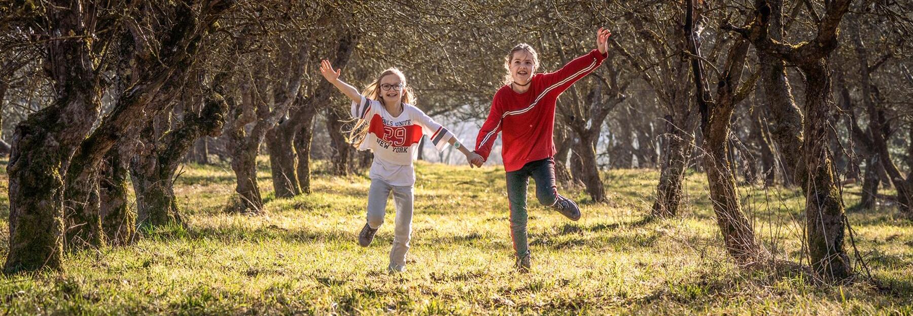 Alte Obstbaumbestände als Naturerlebnisort für SchülerInnen 