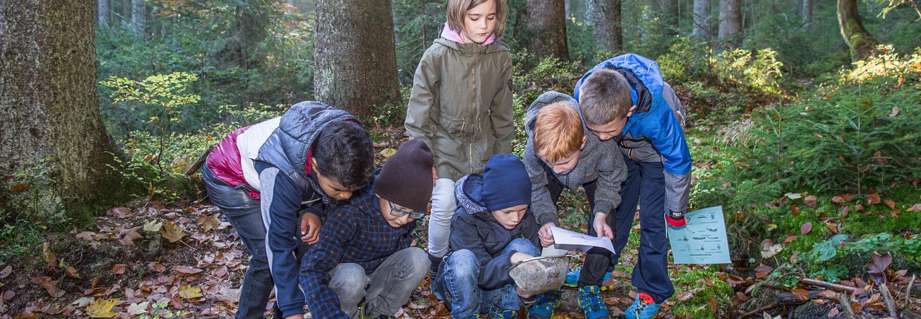 Kinder forschen im Wald